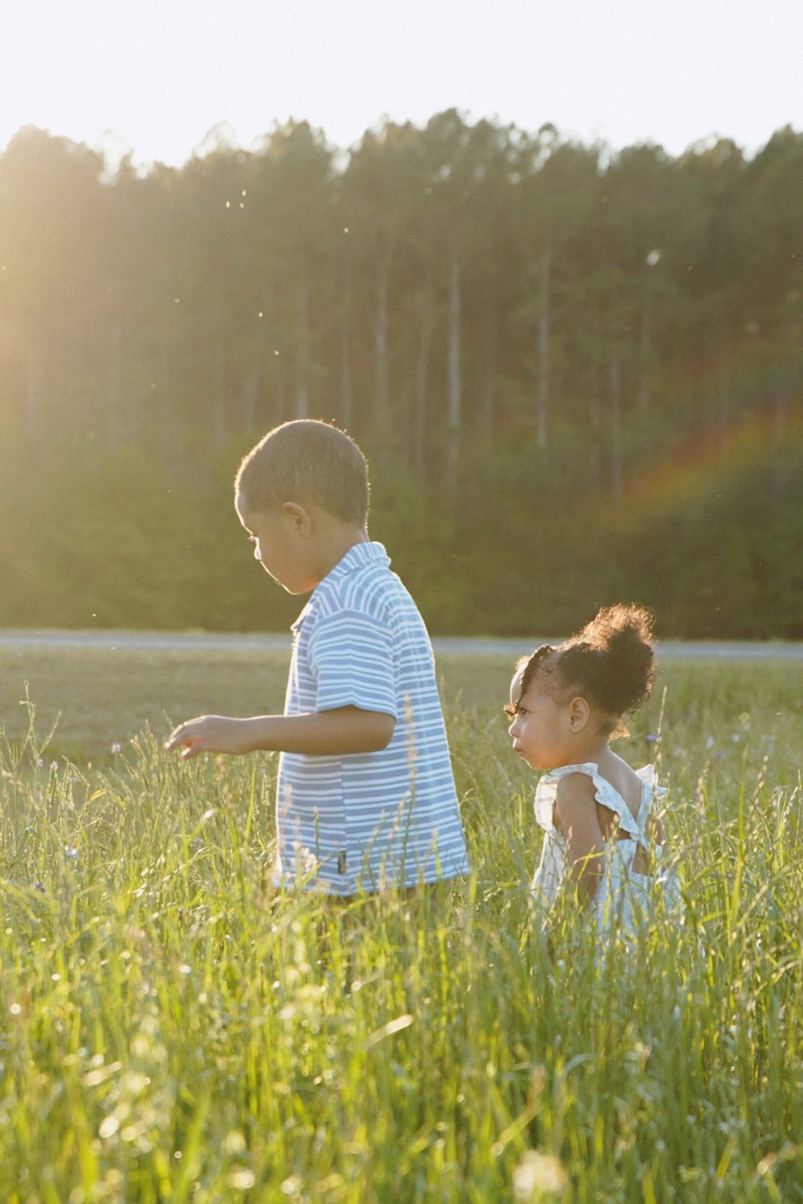 Two small children wading through tall sunlit grass at golden hour during a family session
